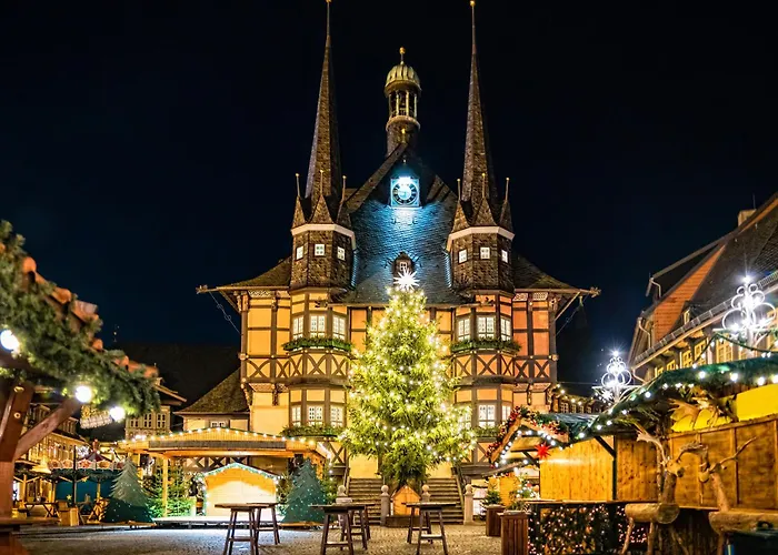 Traumfewo Palais #Innenstadt #Garten #Netflix Von Harztraveler