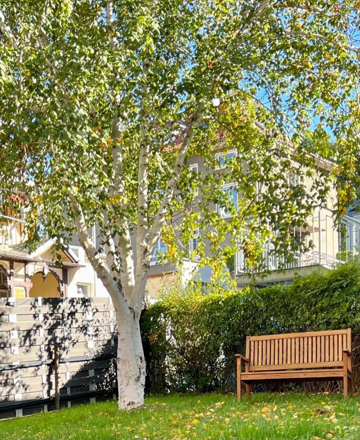 Apartment Traumfewo Palais #innenstadt #garten #netflix Von Harztraveler *